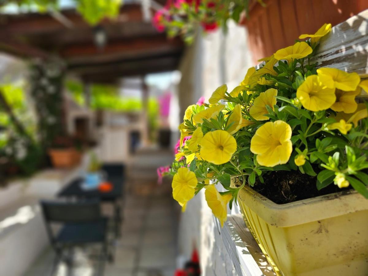 Il Trullo Felice * Locorotondo